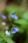 IMG 1401p (430 visits) IMG 1401p