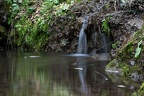 IMG 1423p (392 visits) IMG 1423p