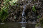 IMG 1428p (405 visits) IMG 1428p