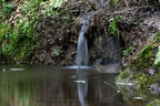 IMG 1431p (421 visits) IMG 1431p
