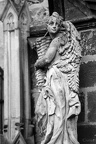 IMG 9839p (457 visits) IMG 9839p