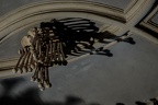 IMG 9865p (435 visits) IMG 9865p