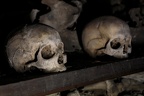 IMG 9868p (422 visits) IMG 9868p