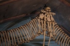 IMG 9878p (435 visits) IMG 9878p