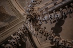 IMG 9879p (446 visits) IMG 9879p