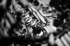 IMG 9882p (413 visits) IMG 9882p