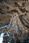 IMG 9885p (414 visits) IMG 9885p