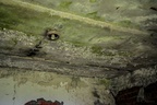 IMG 3185p (409 visits) IMG 3185p