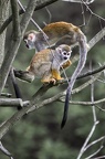 IMG 1722 (405 visits) IMG 1722