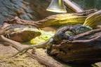 IMG 1759 (378 visits) IMG 1759