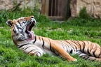 IMG 1777p (402 visits) IMG 1777p