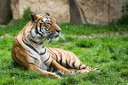 IMG 1803 (367 visits) IMG 1803